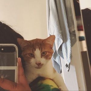 Meet your Posher, Savannah